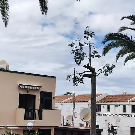 Costa Del Silencio Atlantico I 아파트 *